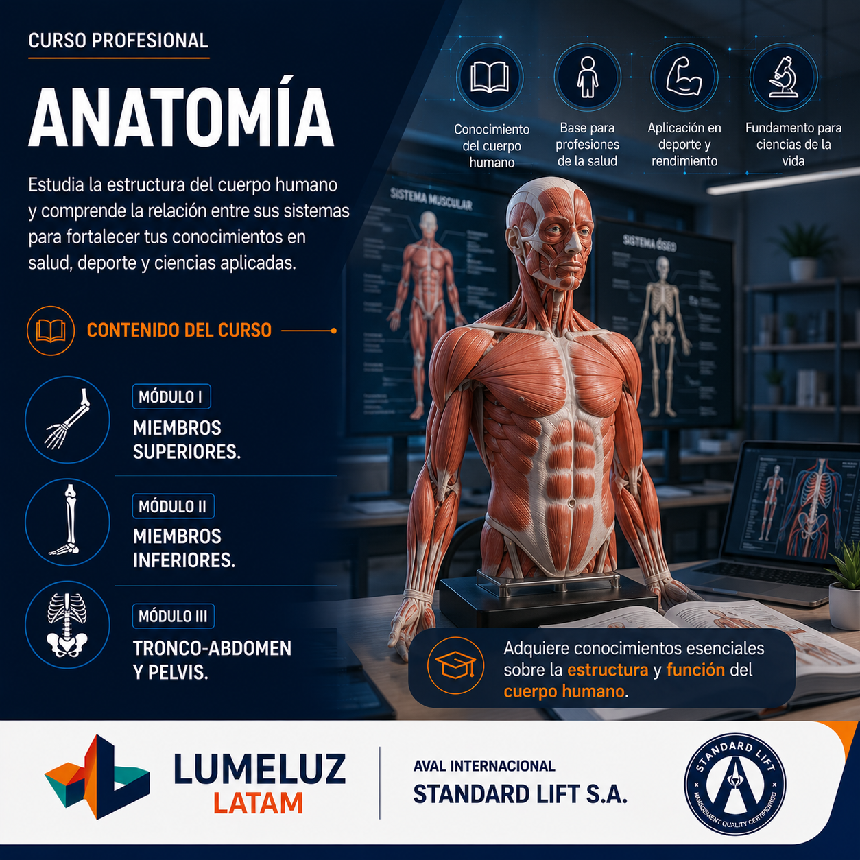 AnatomÃa