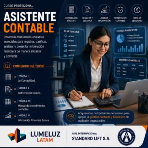 Asistente Contable