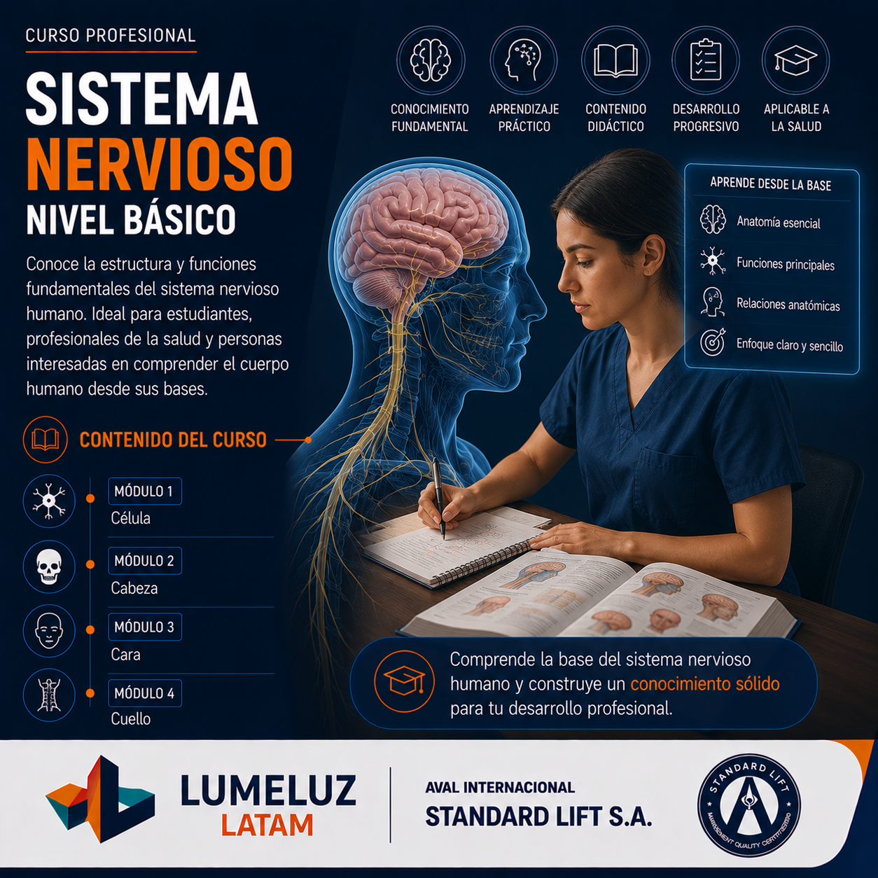 Sistema Nervioso-Nivel Básico